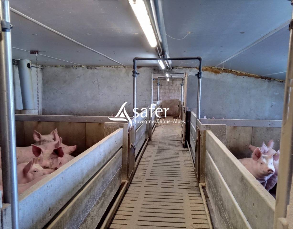 Explotaci&oacute;n lechera En venta Cantal