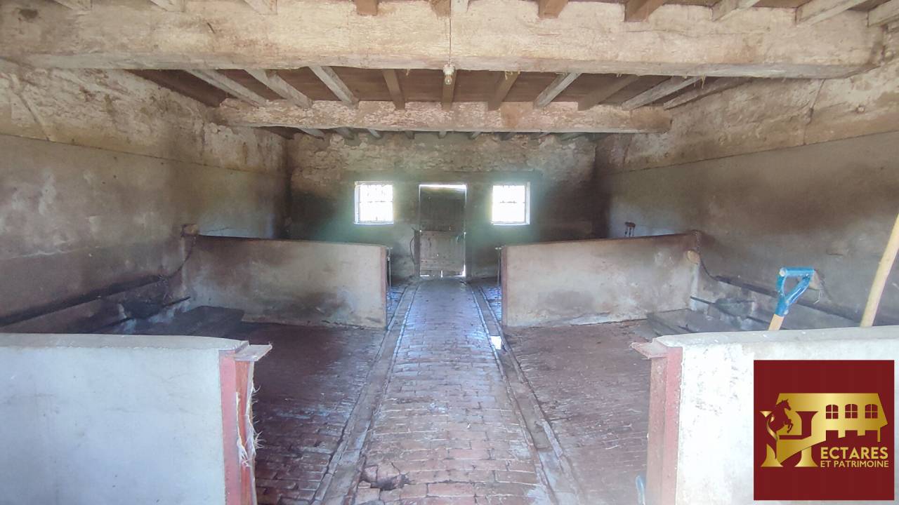 Albergue ecuestre En venta Ain