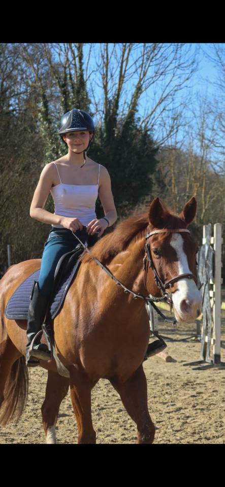 Caballo castrado Paint Horse En venta 2017 Alaz&aacute;n por Urban Dazzle Star