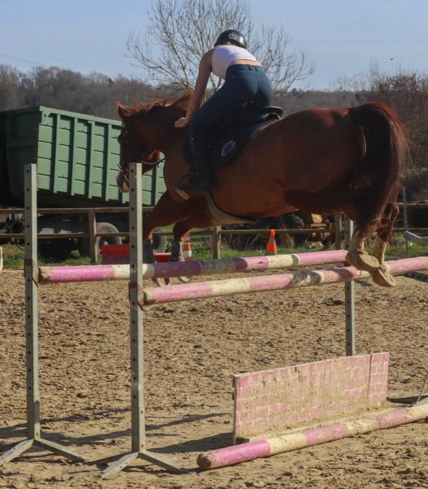 Caballo castrado Paint Horse En venta 2017 Alaz&aacute;n por Urban Dazzle Star