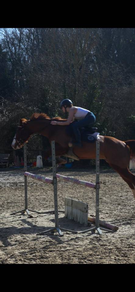 Caballo castrado Paint Horse En venta 2017 Alaz&aacute;n por Urban Dazzle Star