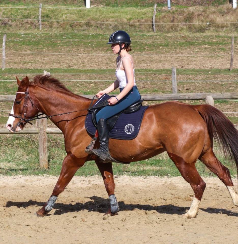 Caballo castrado Paint Horse En venta 2017 Alaz&aacute;n por Urban Dazzle Star