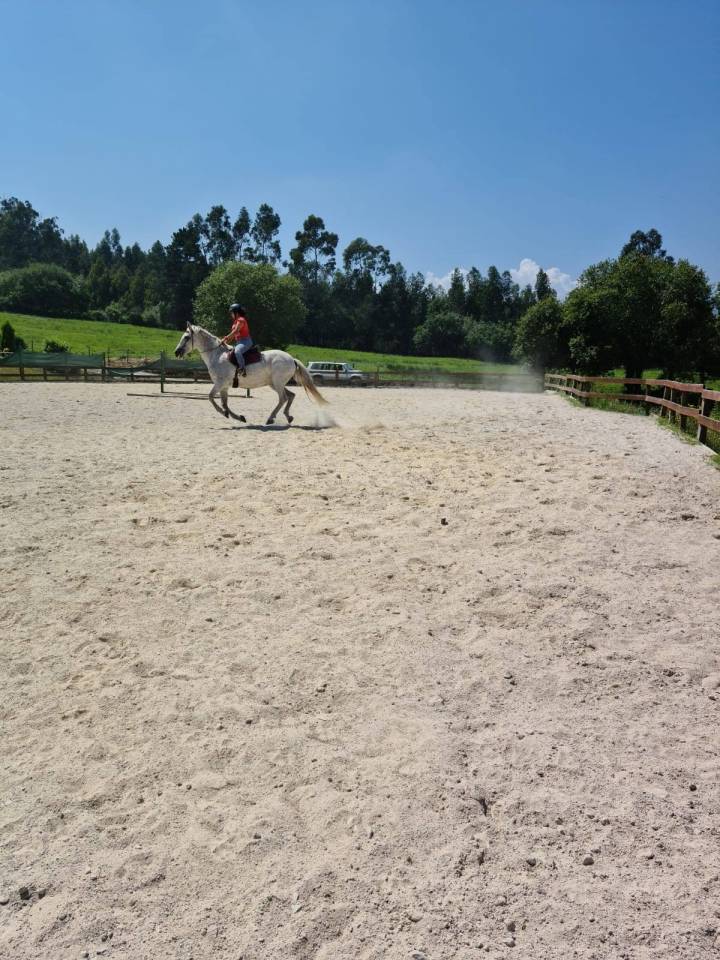 PUPILAJE DE CABALLOS &ndash; CENTRO ECUESTRE EL PINAR