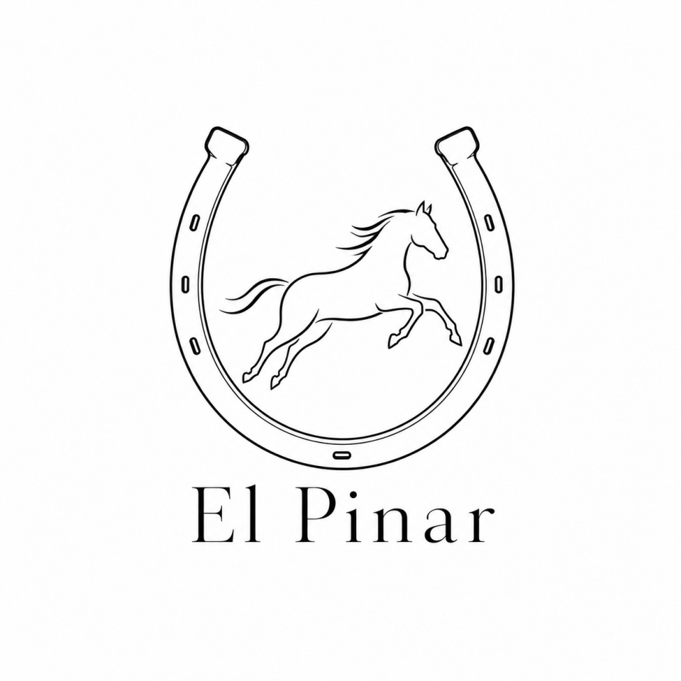 PUPILAJE DE CABALLOS &ndash; CENTRO ECUESTRE EL PINAR