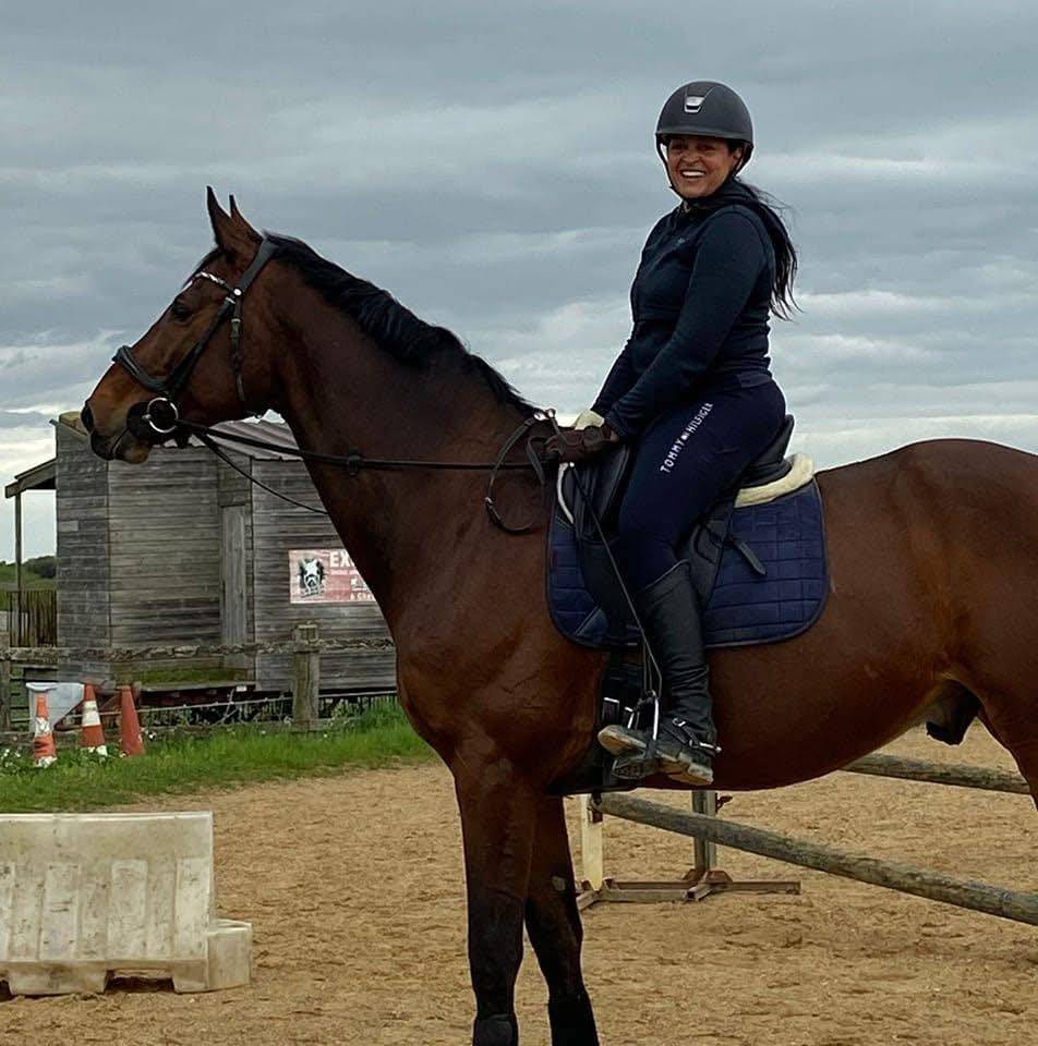 Caballo castrado Zangersheide En venta 2005 Bayo por Diarado Holst Warmblut