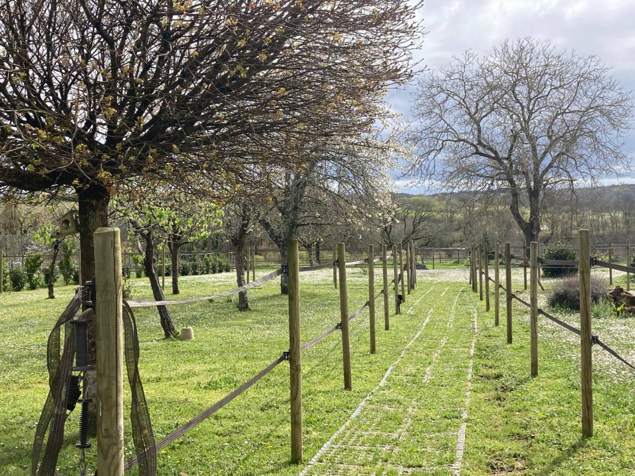 Bonita residencia ecuestre En venta Gironda