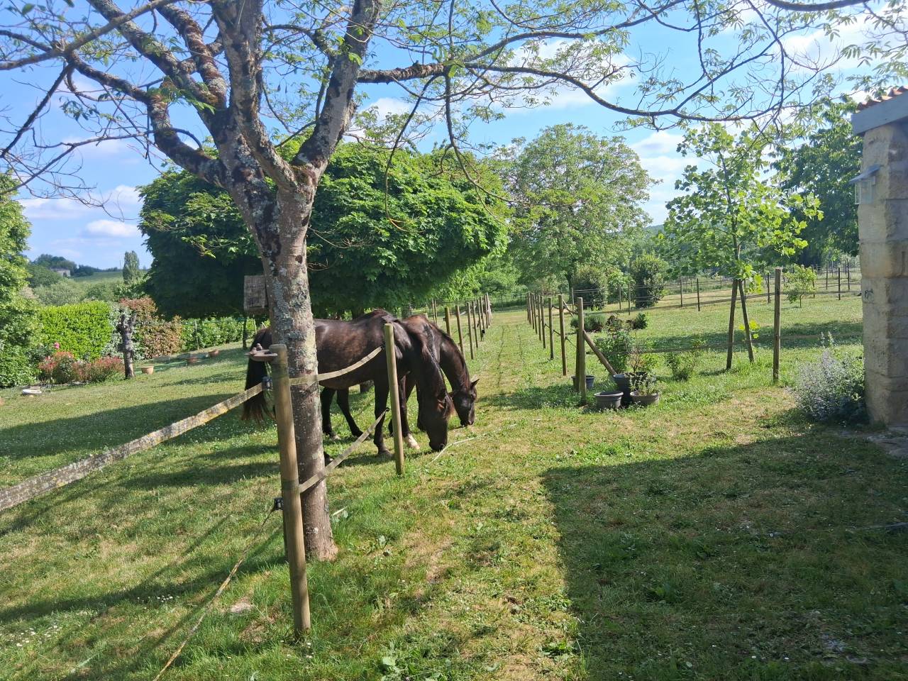 Bonita residencia ecuestre En venta Gironda