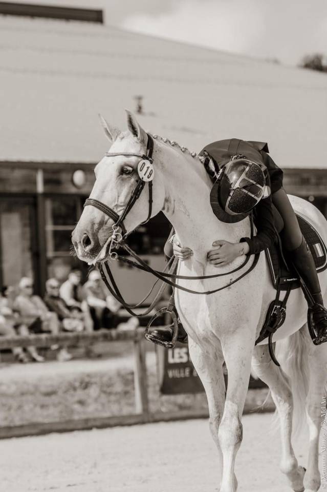 Caballo castrado Lusitano En venta 2012 Tordo