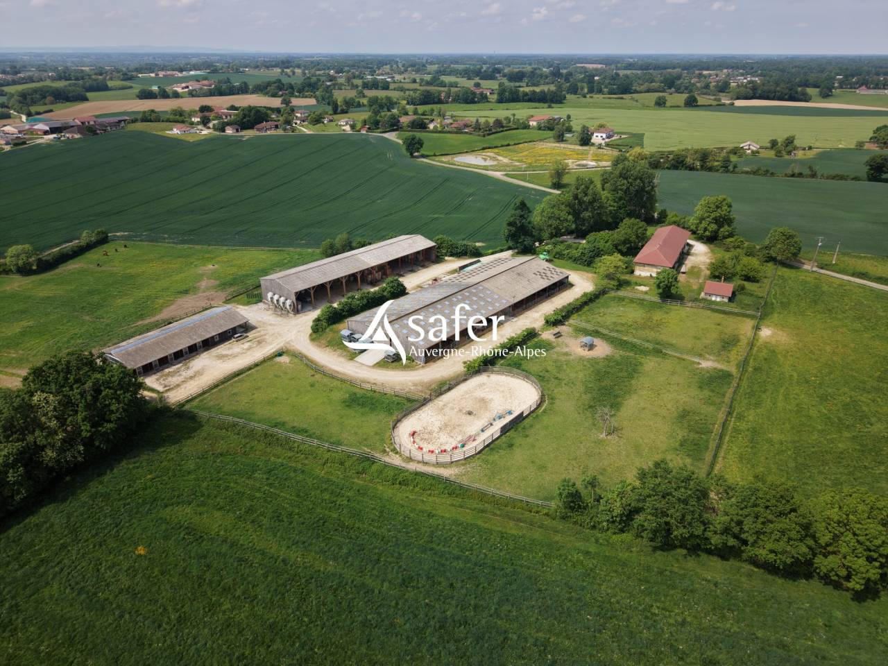 Explotaci&oacute;n ovina En venta Ain