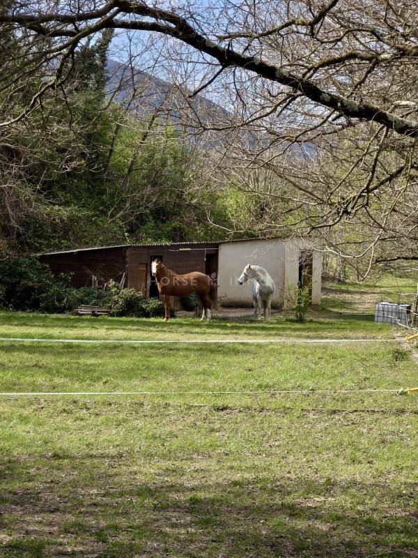 Propiedad ecuestre En venta Dr&ocirc;me