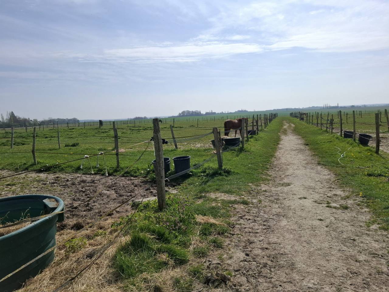 Propiedad ecuestre En venta Loiret