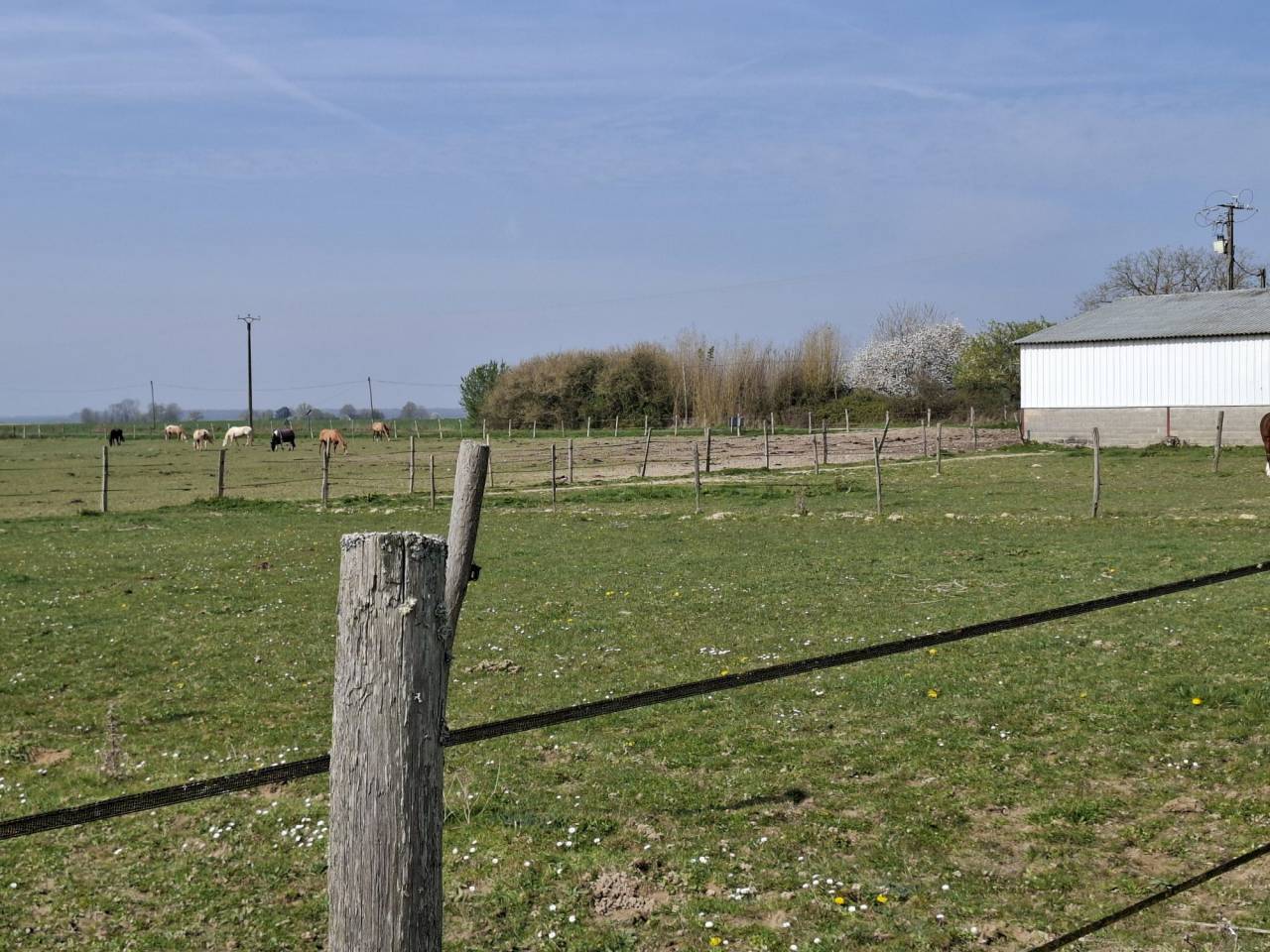 Propiedad ecuestre En venta Loiret