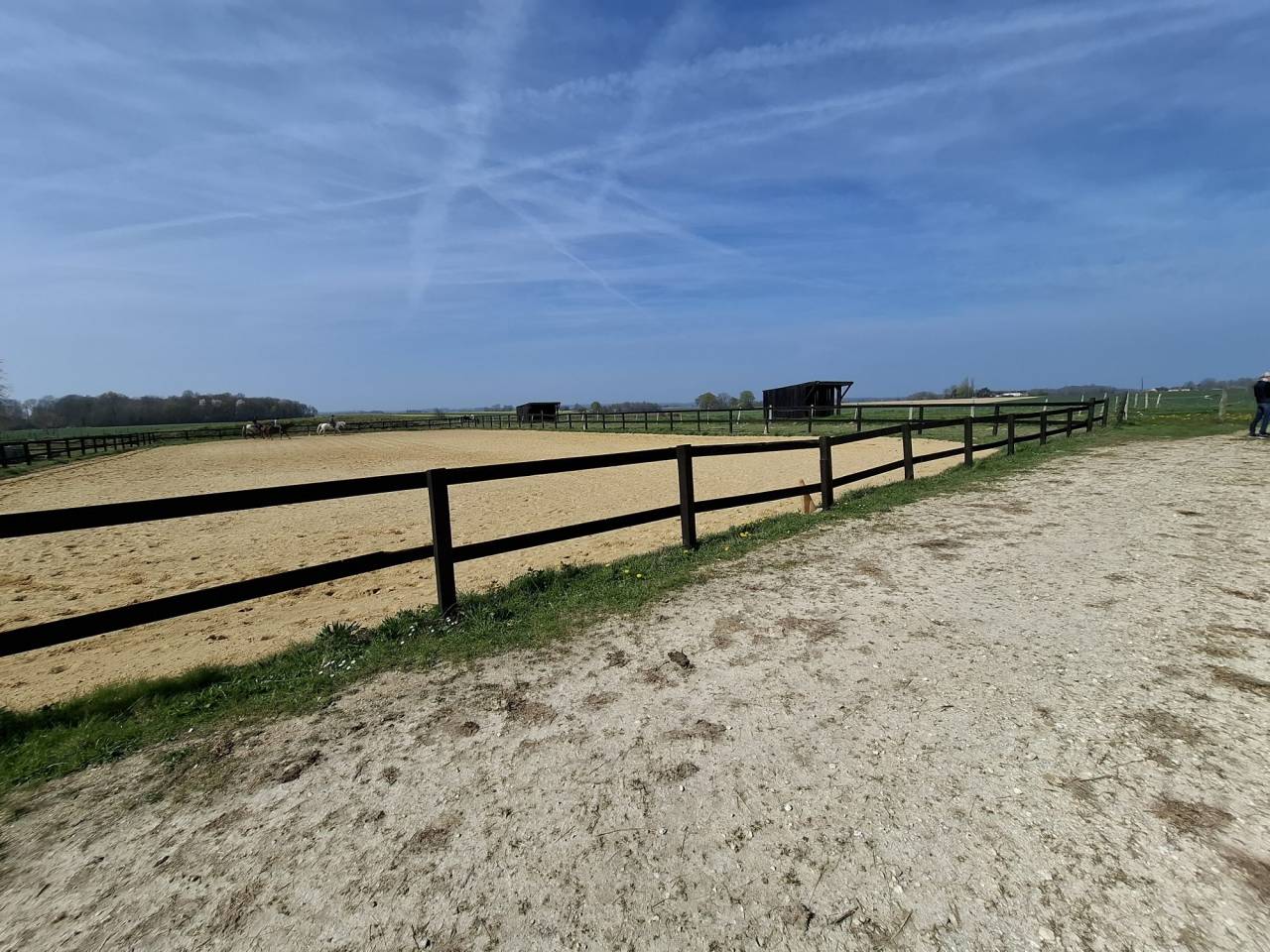 Propiedad ecuestre En venta Loiret
