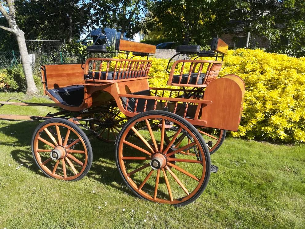 Coche enganches - Calesa - Otra marca -  