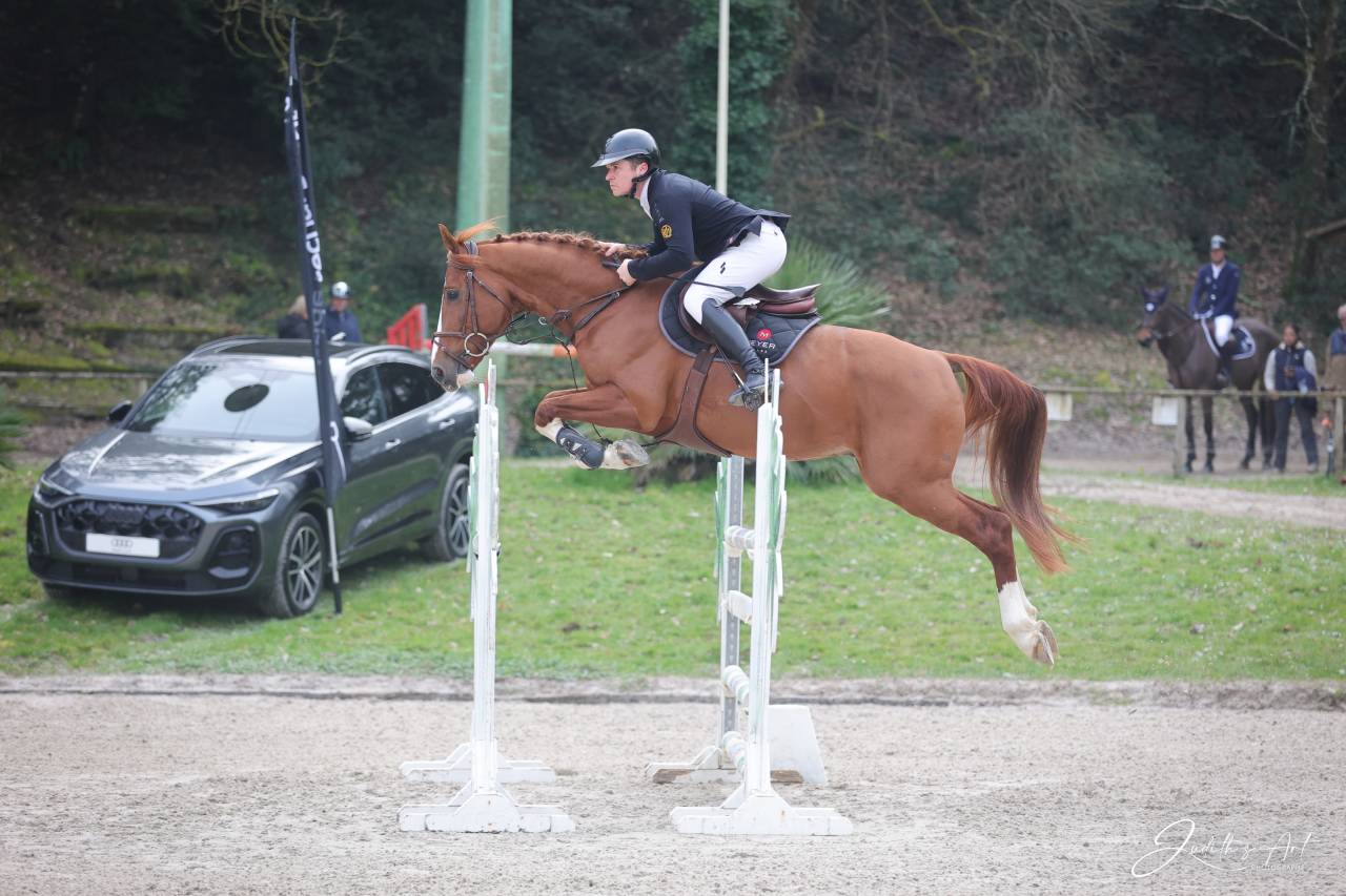 Caballo castrado Silla Franc&eacute;s En venta 2020 Alaz&aacute;n por OGRION DES CHAMPS, SFA