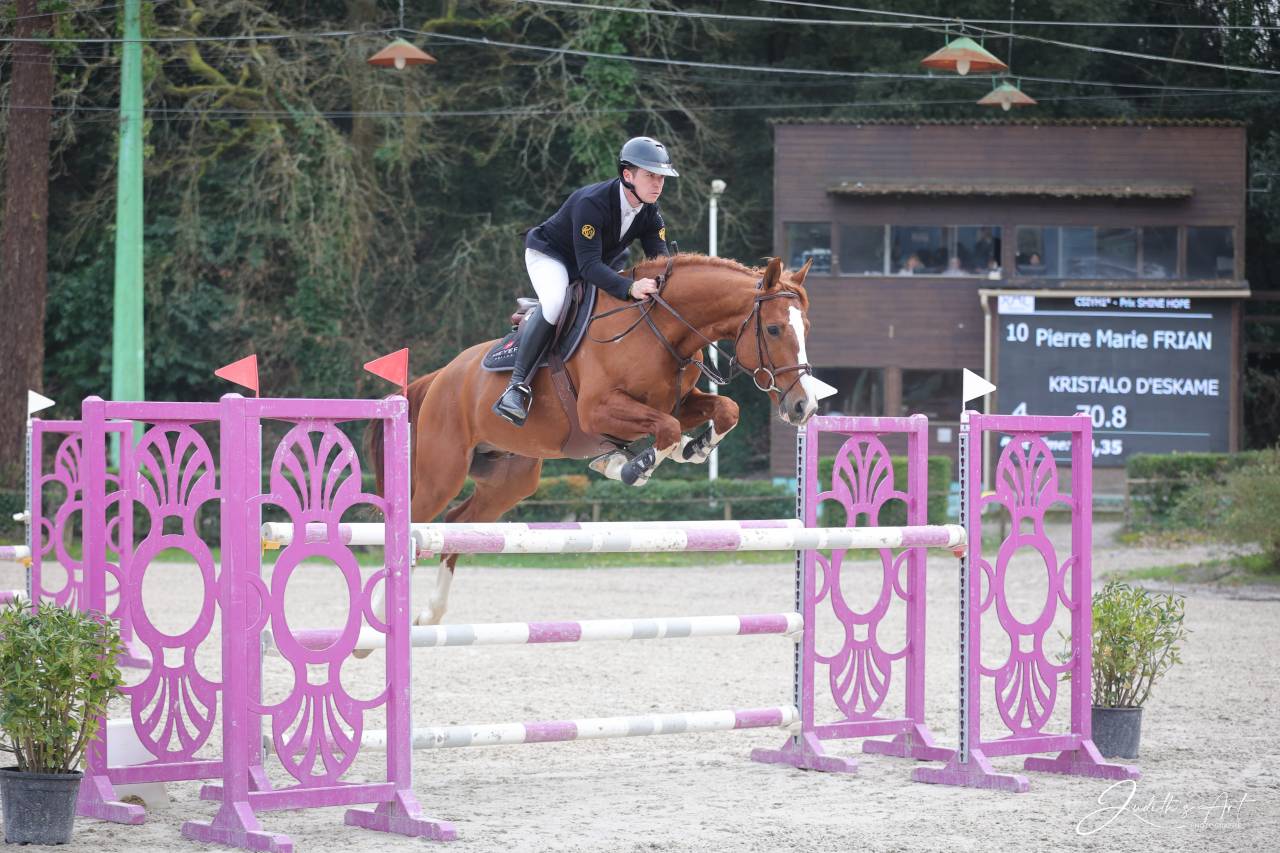 Caballo castrado Silla Franc&eacute;s En venta 2020 Alaz&aacute;n por OGRION DES CHAMPS, SFA