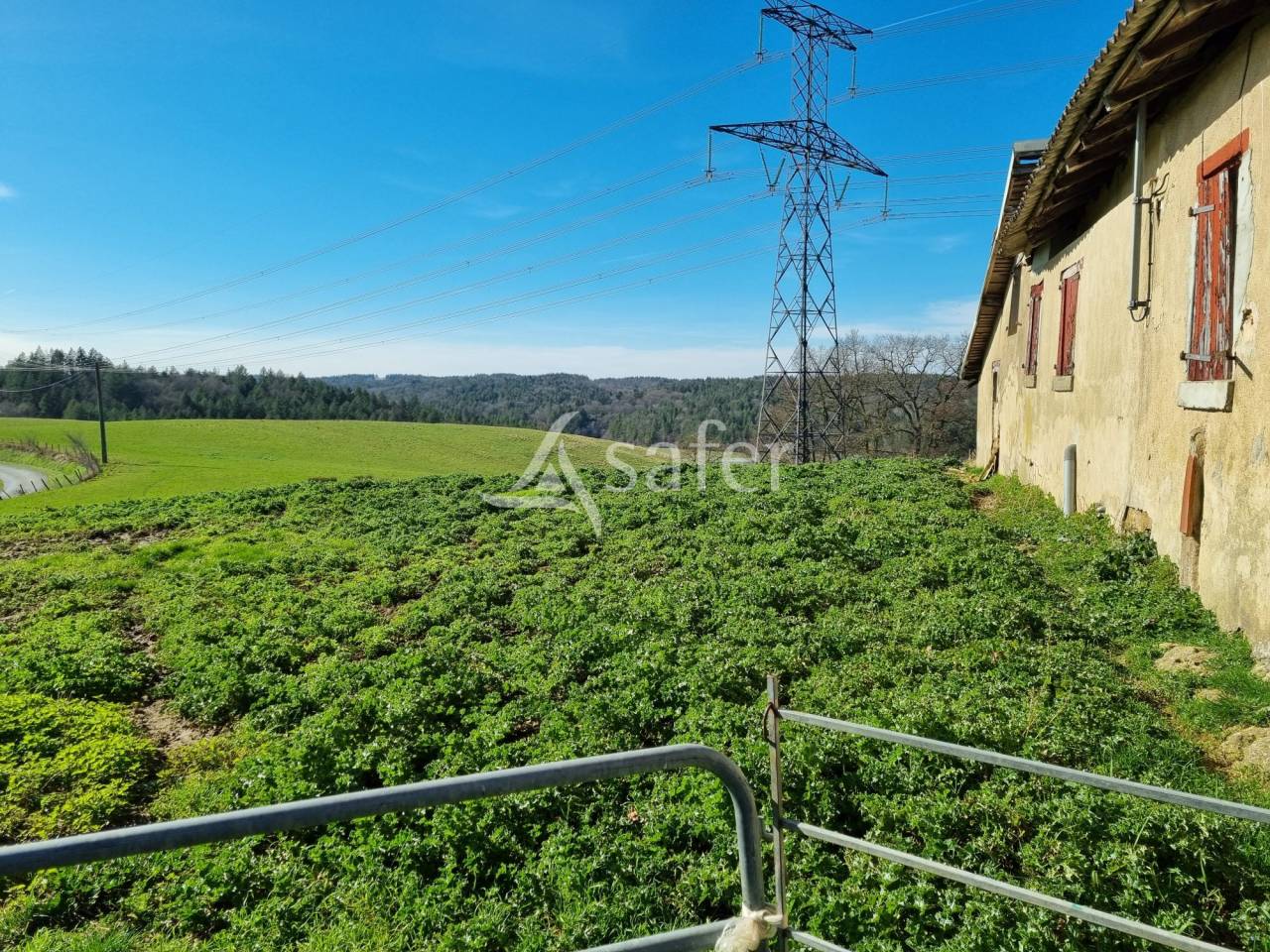 Explotaci&oacute;n agr&iacute;cola En venta Alto Garona