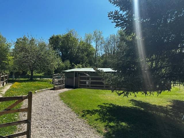 Bonita residencia ecuestre En venta Ain
