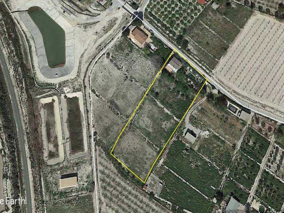 Potro Abtenauer En venta 2021 Alaz&aacute;n