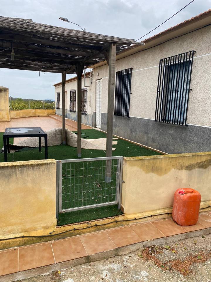 Potro Abtenauer En venta 2021 Alaz&aacute;n