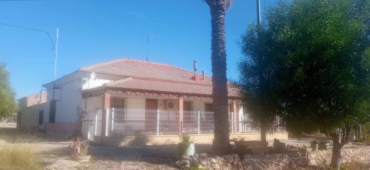 Potro Abtenauer En venta 2021 Alaz&aacute;n