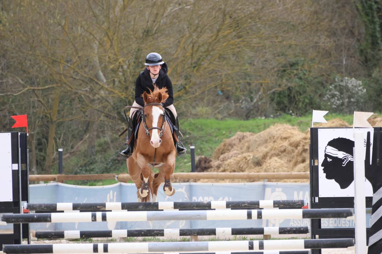 Caballo castrado Silla Franc&eacute;s En venta 2020 Alaz&aacute;n