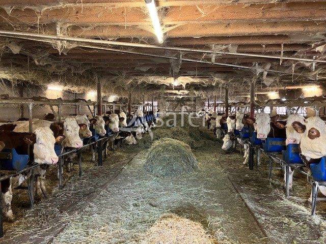 Explotaci&oacute;n agr&iacute;cola En venta Jura
