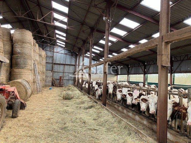 Explotaci&oacute;n agr&iacute;cola En venta Jura