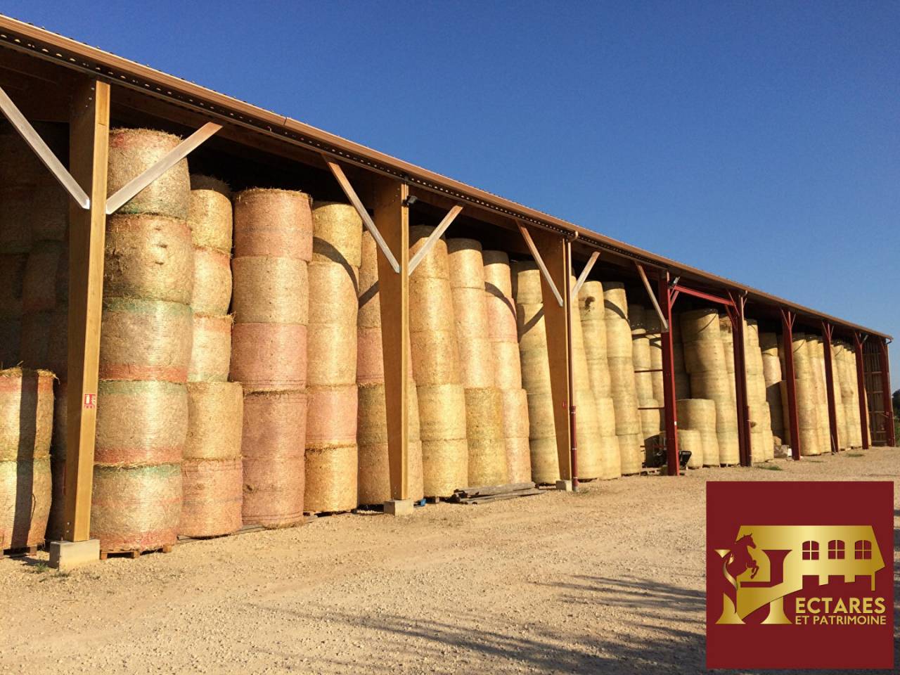 Propiedad ecuestre En venta Ain