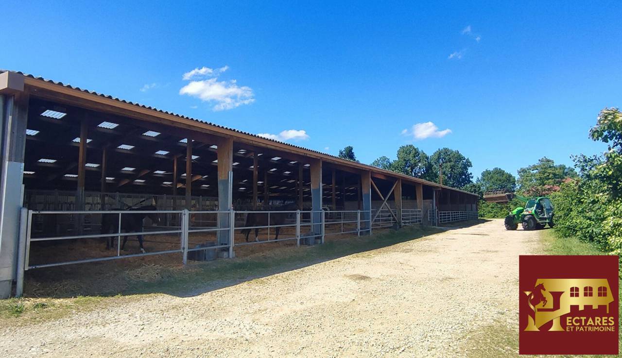 Propiedad ecuestre En venta Ain