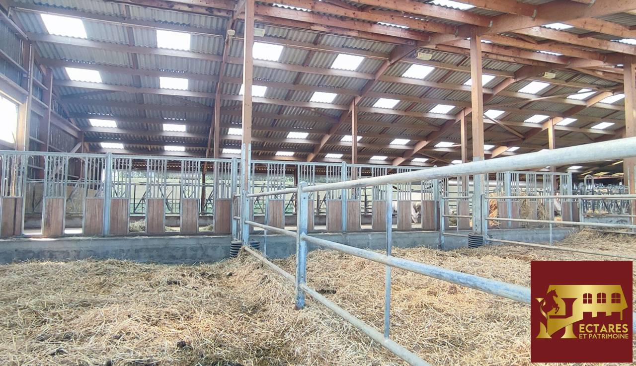 Propiedad ecuestre En venta Ain