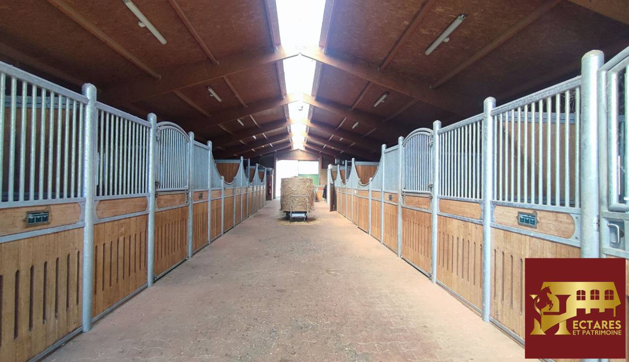 Propiedad ecuestre En venta Ain