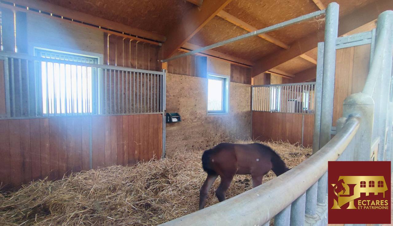 Propiedad ecuestre En venta Ain
