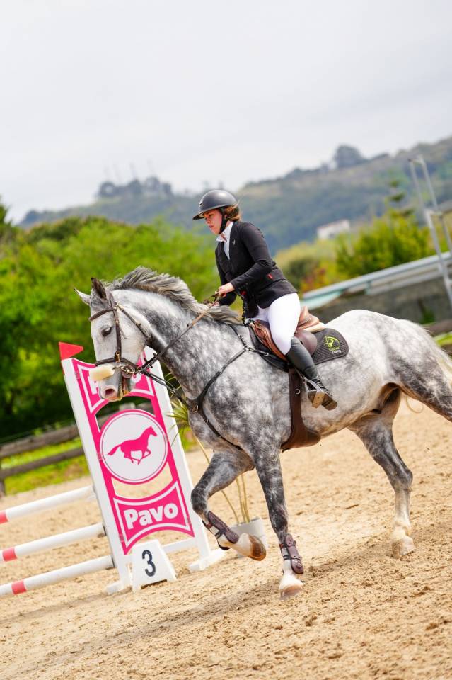 Caballo BWP castrado 10 a&ntilde;os. 178cm