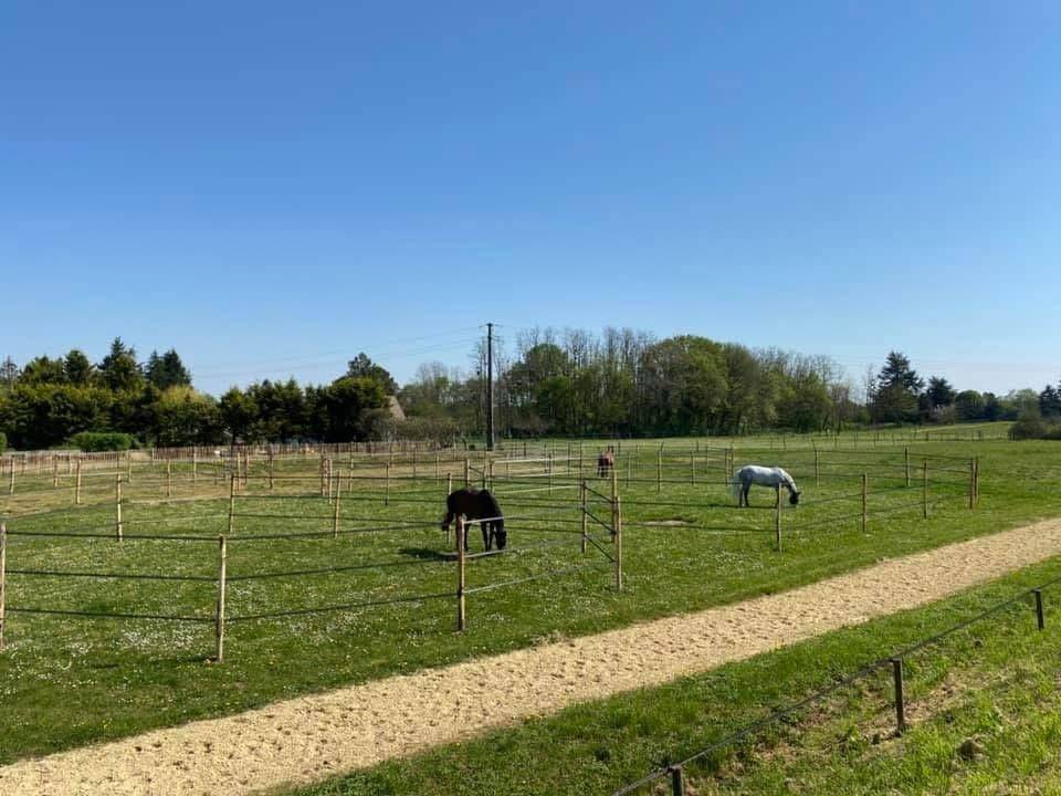Cuadra de propietarios En venta Indre y Loira
