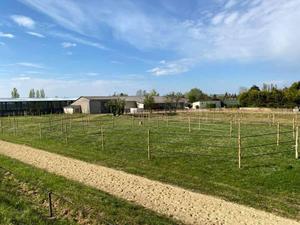 Cuadra de propietarios En venta Indre y Loira
