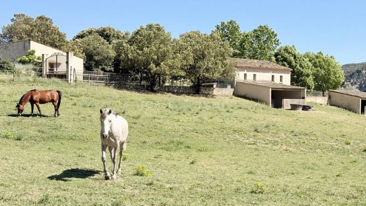Propiedad ecuestre En venta Alpes de Alta Provenza