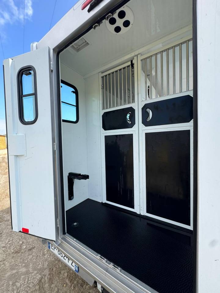 Furgoneta para caballos Renault Master  2017 De segunda mano