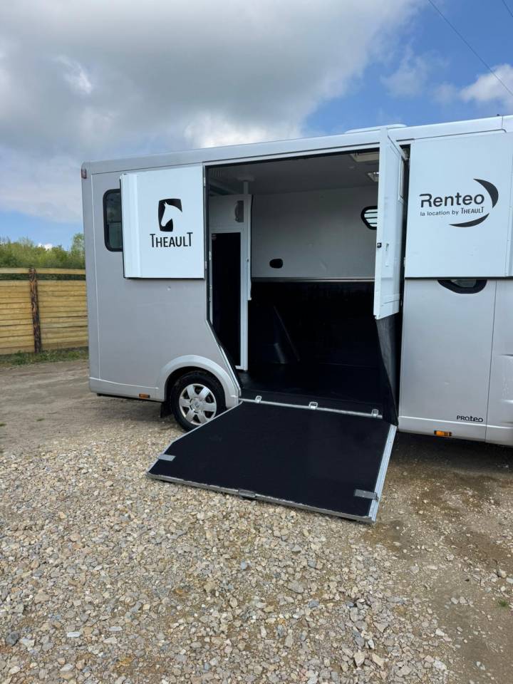 Furgoneta para caballos Renault Master  2017 De segunda mano