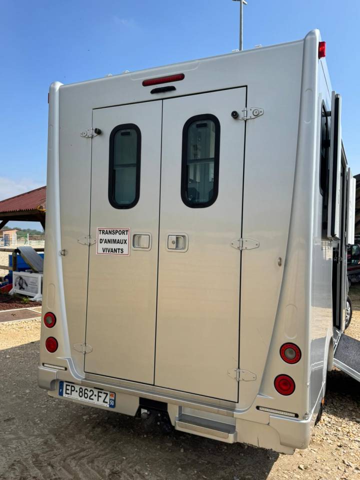 Furgoneta para caballos Renault Master  2017 De segunda mano