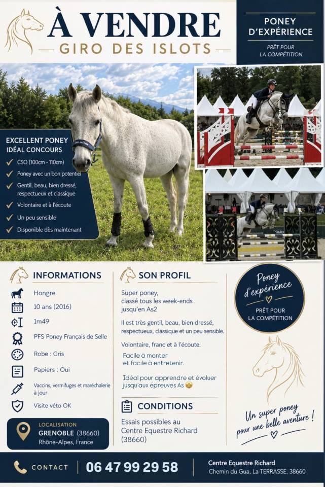 Caballo castrado PFS Poni Fran&ccedil;&eacute;s de Silla En venta 2016 Tordo