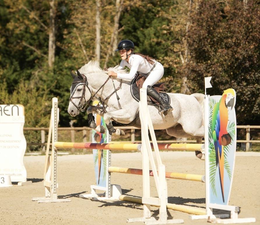 Caballo castrado PFS Poni Fran&ccedil;&eacute;s de Silla En venta 2016 Tordo