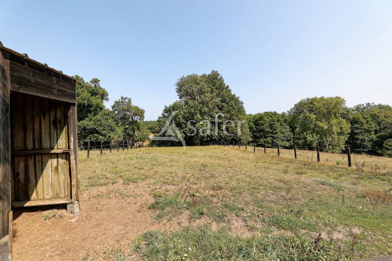 Propiedad ecuestre En venta Vend&eacute;e