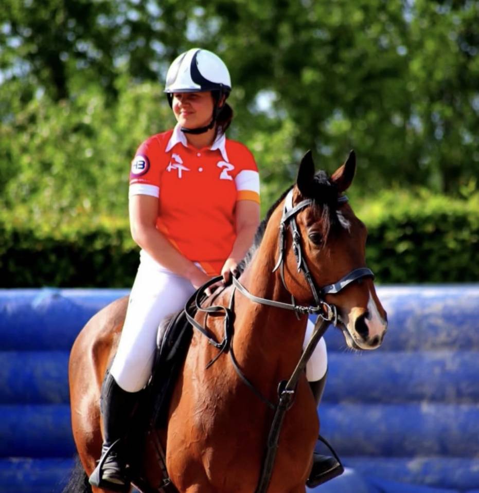 Caballo castrado Pura Sangre En venta 2020 Bayo
