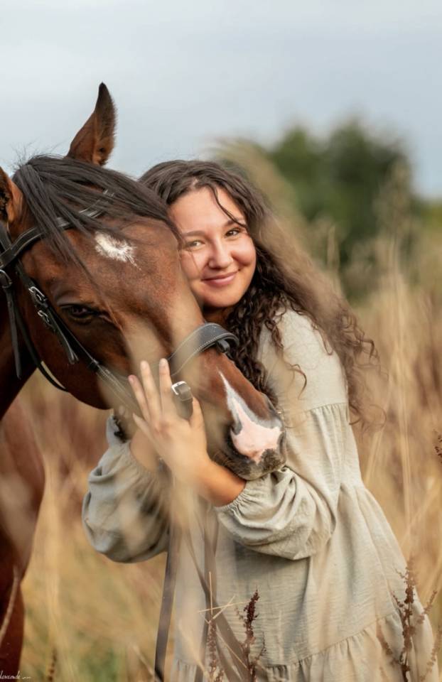 Caballo castrado Pura Sangre En venta 2020 Bayo