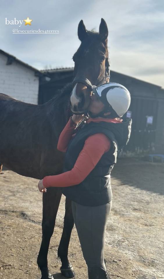 Caballo castrado Pura Sangre En venta 2020 Bayo