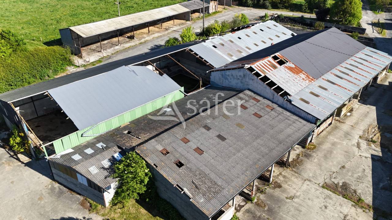 Explotaci&oacute;n agr&iacute;cola En venta Mancha
