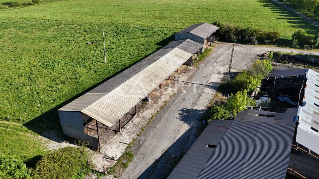 Explotaci&oacute;n agr&iacute;cola En venta Mancha