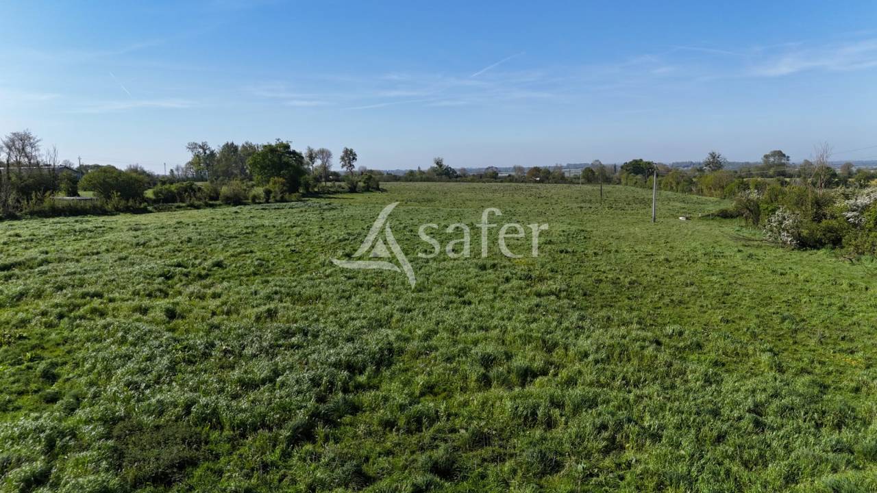 Propiedad ecuestre En venta Mancha
