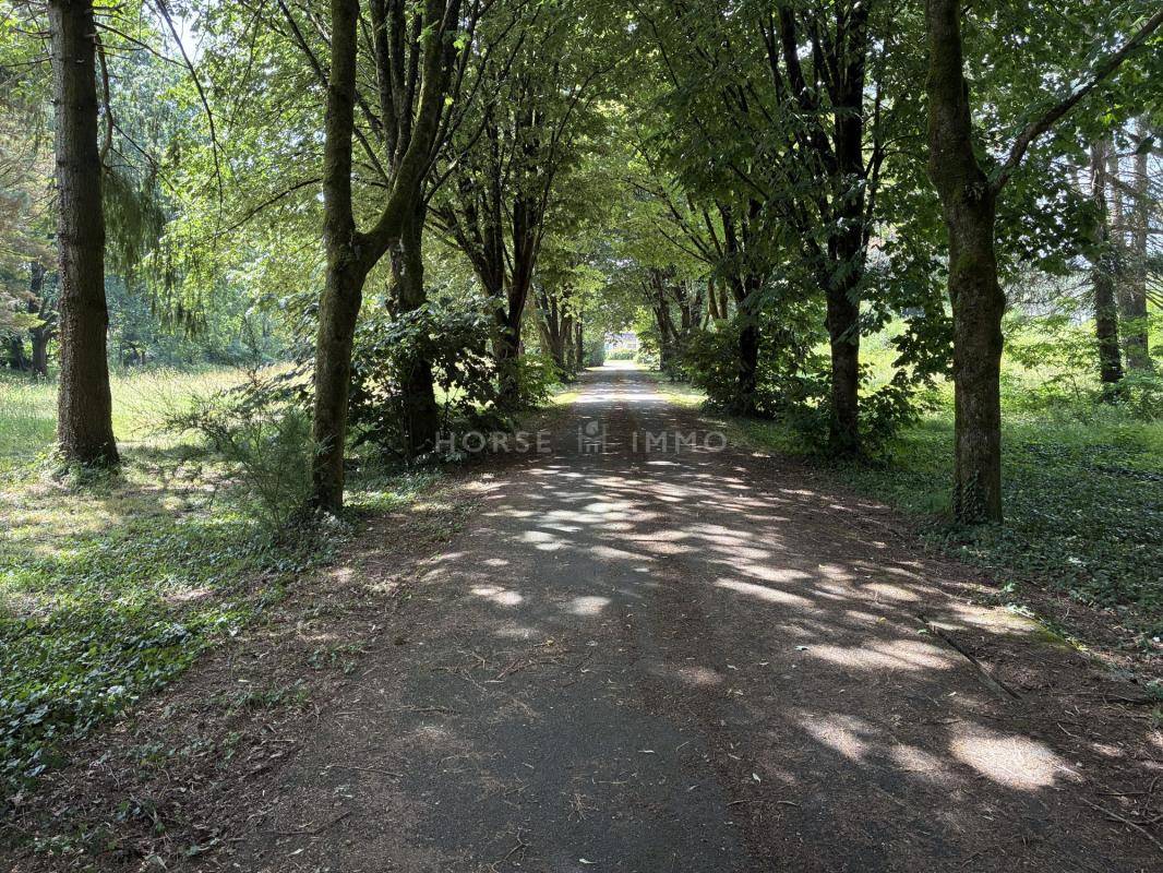 Propiedad ecuestre En venta Loira Atl&aacute;ntico